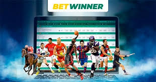 Reliable BetWinner Your Trusted Betting Partner